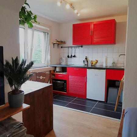 Kleines Studio Am Uni-Campus - Perfekt Fuer Junge Unternehmungslustige Дрезден Екстер'єр фото